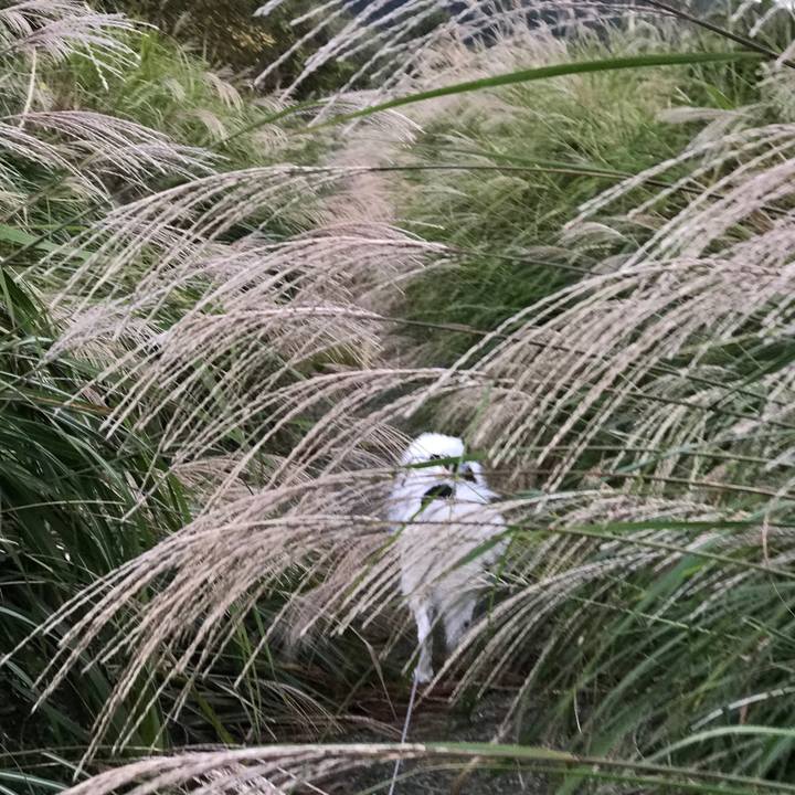 F4f0a274 ffbb 4e02 b848 991f8fc78d71 1539353989597