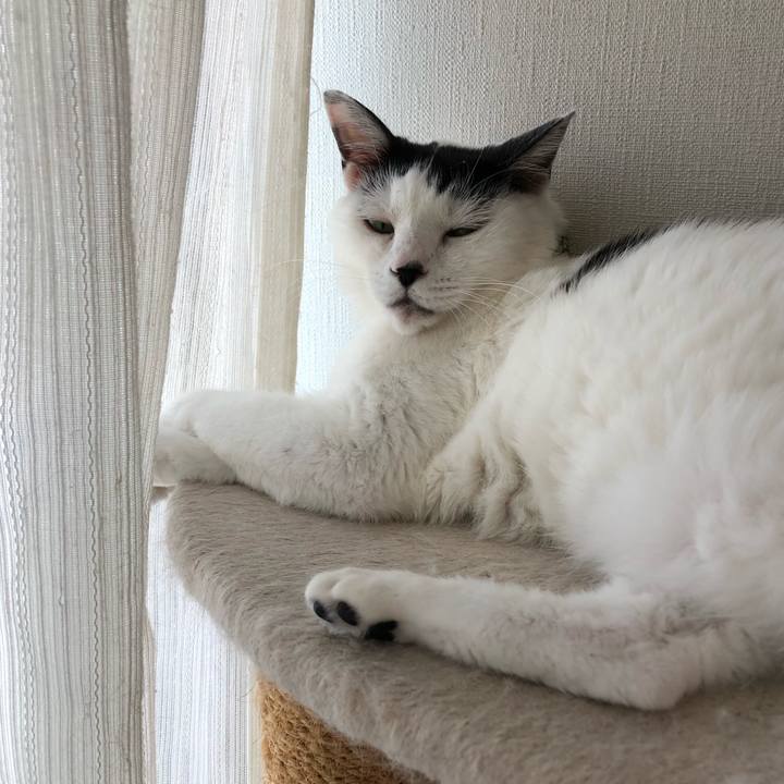 F4f0abd9 8713 4703 bd8e 02dd44be8038 1567380609522