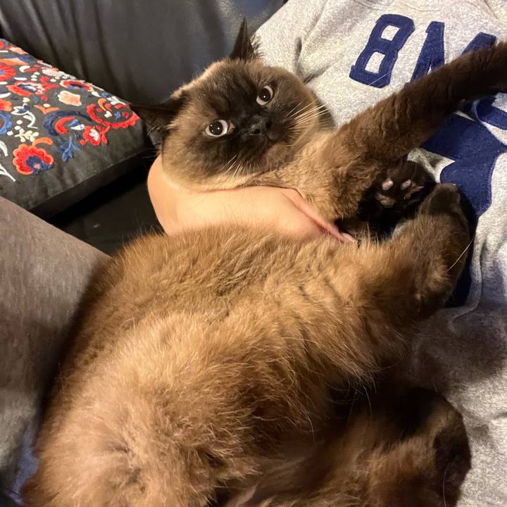 F4f0b1c8 1817 4362 b91e 9bfc41ee4735 1655251165030