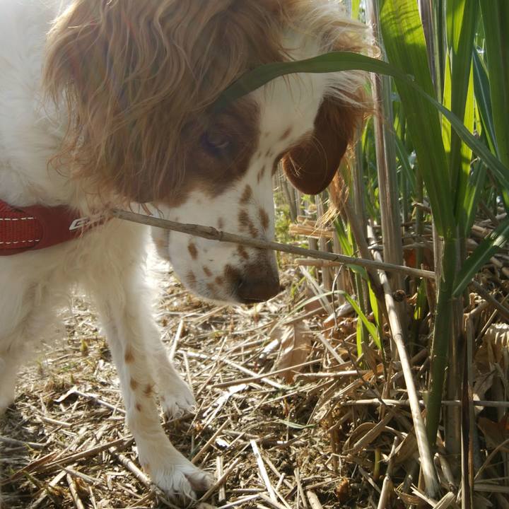 F4f0b4ec 66ad 48cd 8cc0 eff40eeb842f 1524196922061