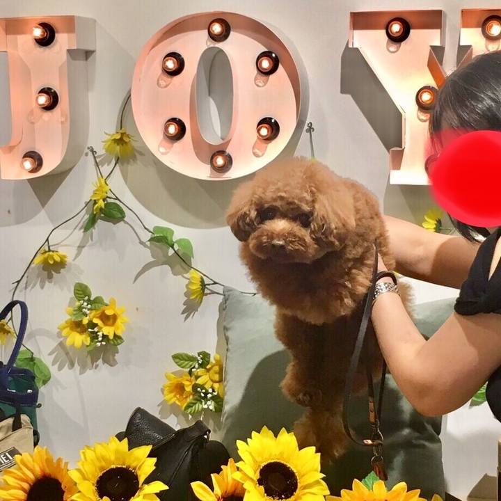 F4f0db7b 78ad 441b 847a aa71c06a1190 1563925185841