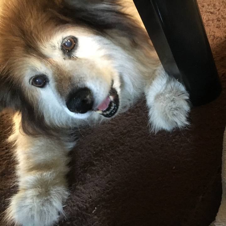 F4f0e629 420d 4dd1 bb69 26c924ffb54c 1609962796142