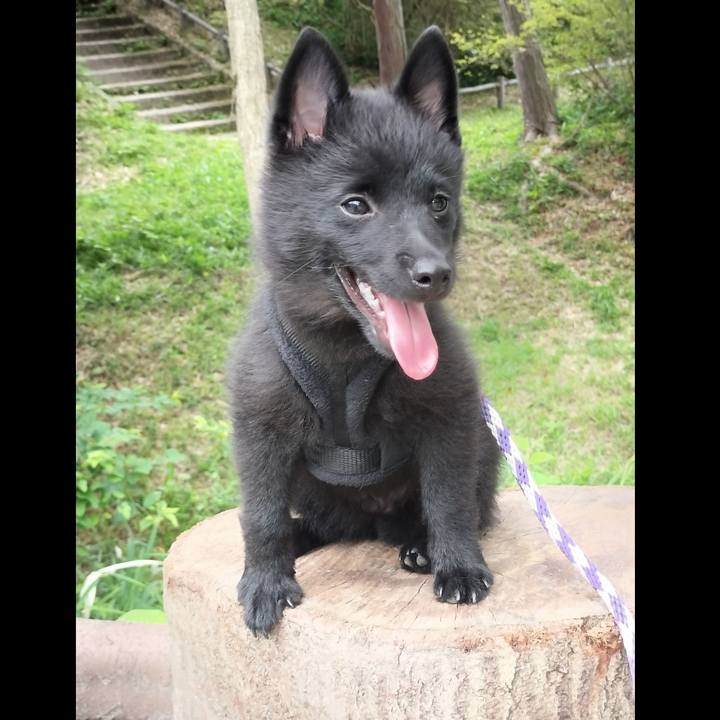 F4f0e7fa 3c79 44e2 9151 550319c7a6aa 1750547698504