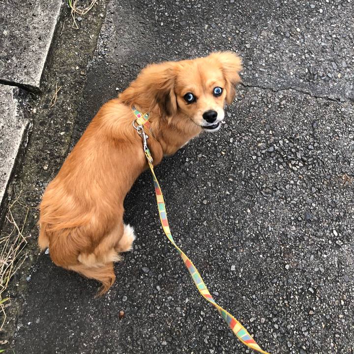 F4f0fd12 bd37 4f5a 9d23 0b63184d3123 1509753357402