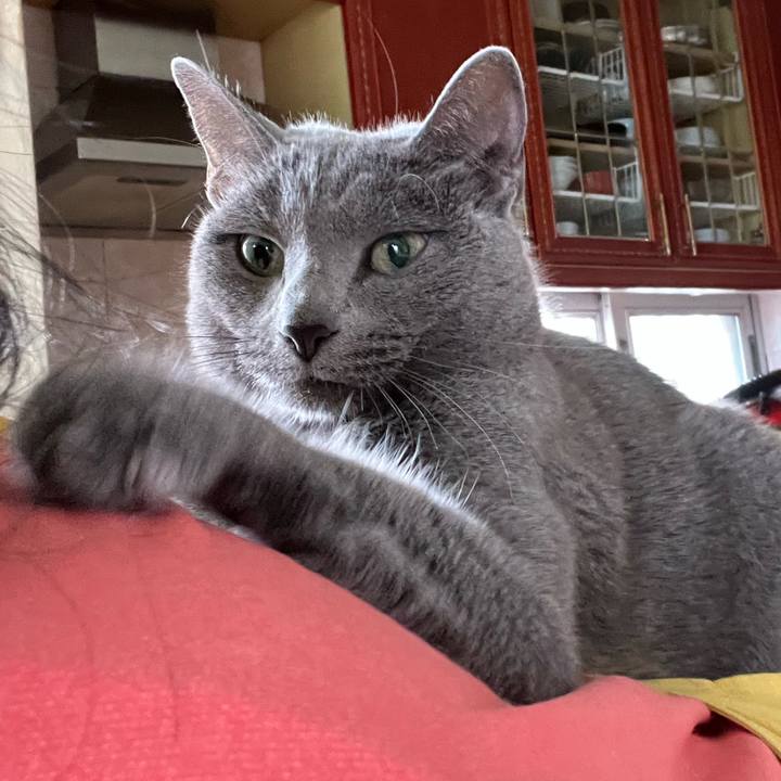 F4f13863 79fc 4cdb 8fee 962a6735b62f 1649120904226