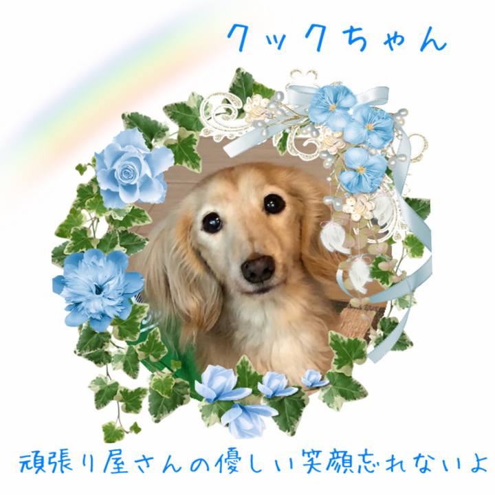 F4f18054 36bb 4ab4 8829 3b3d9a4cf3c1 1613877497692