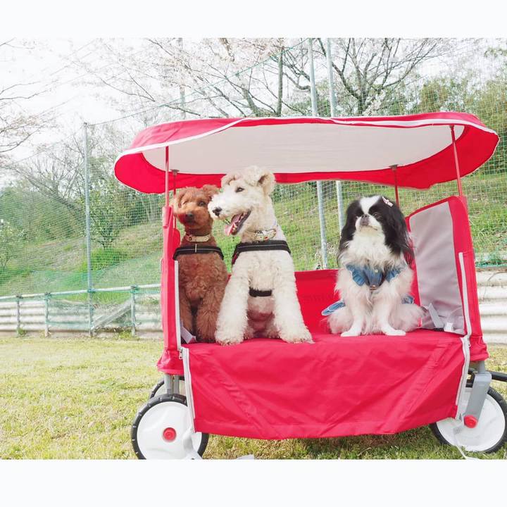 F4f1afaf 9355 4dc1 81f4 b80925050dca 1555540304544