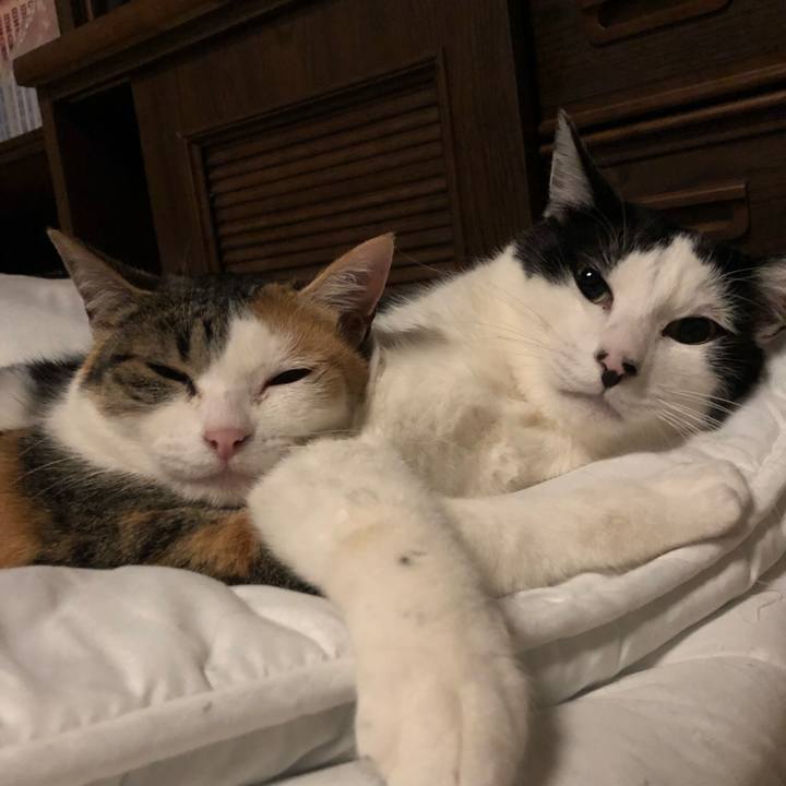 F4f1ef53 f323 4855 a4e9 cc7f6cfa690e 1586796755837