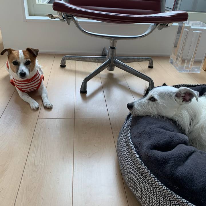 F4f20b03 9386 4209 ae39 6f6ce6970201 1595232428104