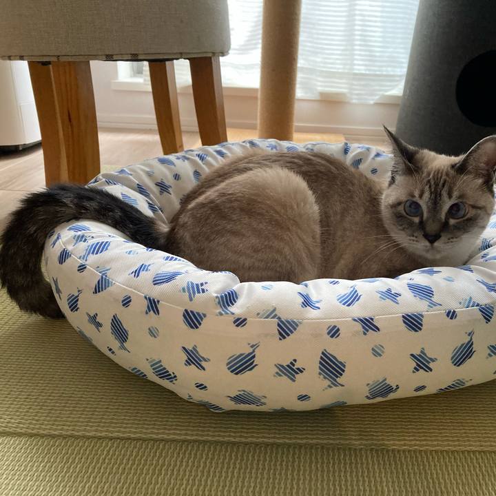 F4f20ba6 02ec 4716 a6d1 9303996af4c5 1627687655373