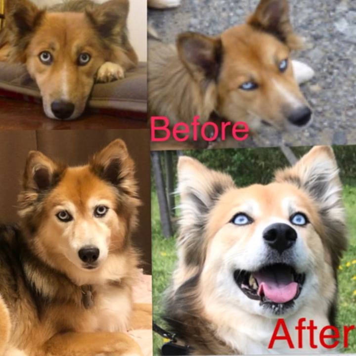 F4f21b1c ab71 4417 bb6c 30fa10dd9eec 1658547885521