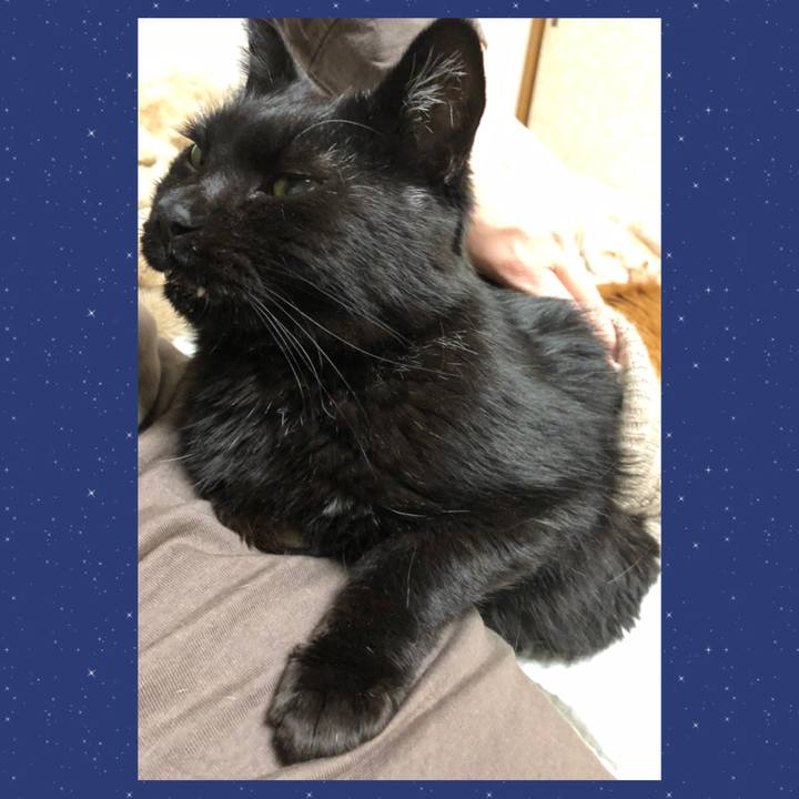 F4f229ee a11a 453e 8826 880962e3d563 1634644944028