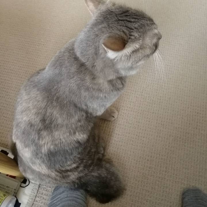 F4f23eac c595 459f 87e0 ddbaf01424d5 1535610377231