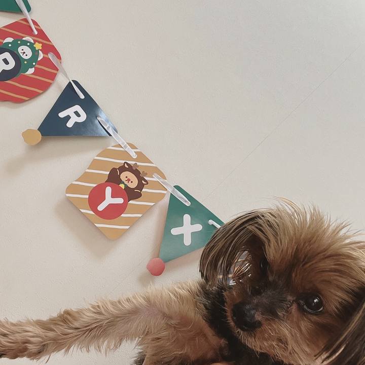 F4f284c2 1a6e 4315 916c 0c67258e6ecf 1702090542928