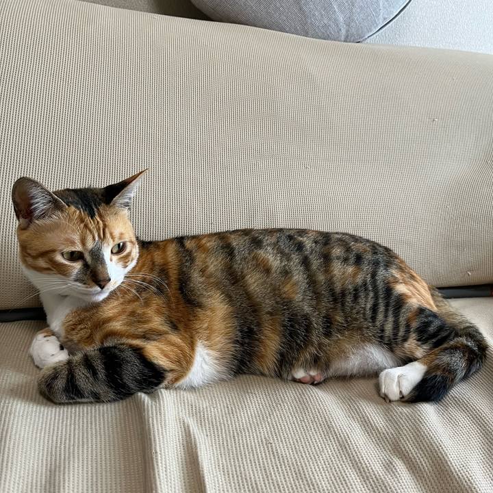 F4f2ae89 ec92 4c66 b954 885184f33c1f 1688903721007