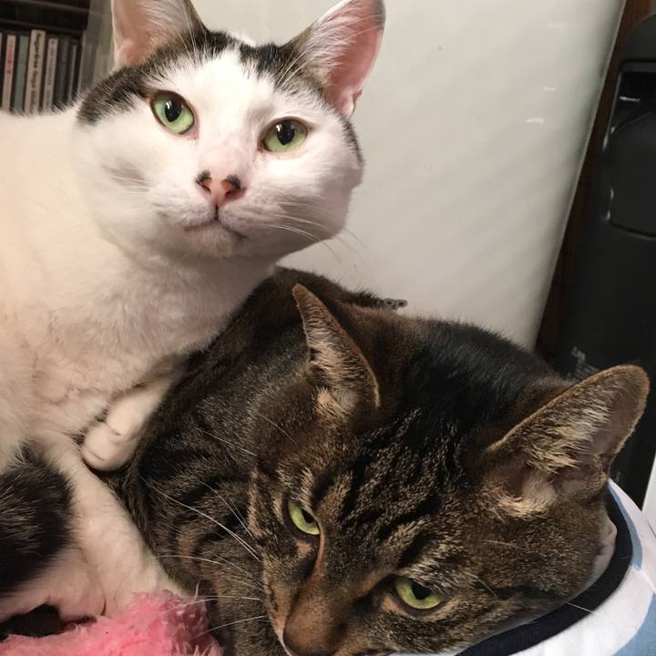 F4f2cc4d b630 4c30 a9e5 5d9211dddd49 1542927797906