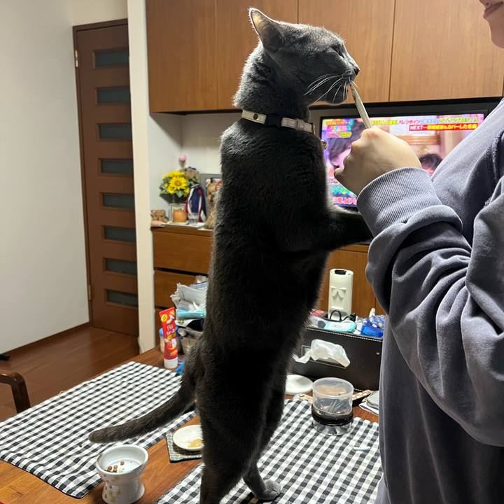 F4f2d405 56e7 4e2f 8830 c158a4f3f835 1738935427326