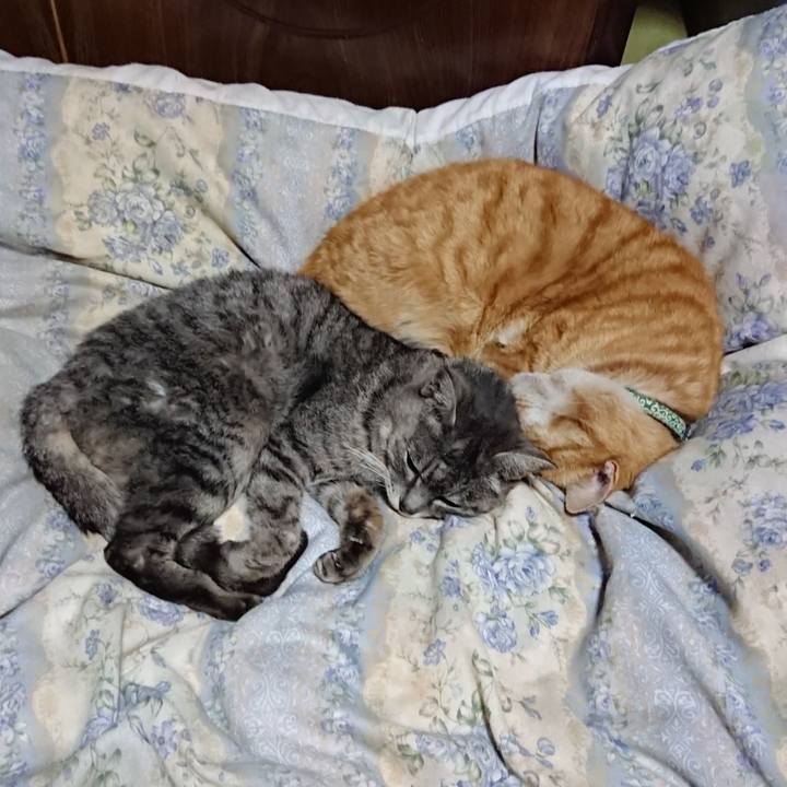 F4f2d9f7 5db2 4368 9219 4118a9adffa5 1583496499584