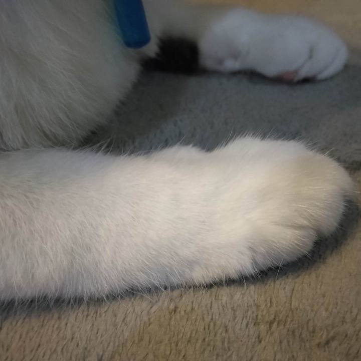 F4f2dce0 e79d 4830 b1c3 dec1f0d30bdd 1686833900724