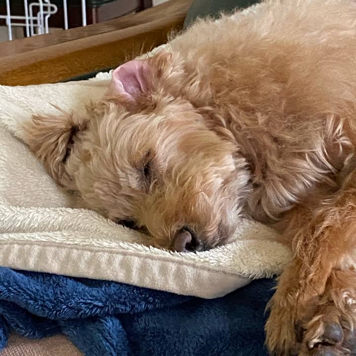 F4f2f8bb bcf6 4766 8536 30877f8068f3 1617925783308