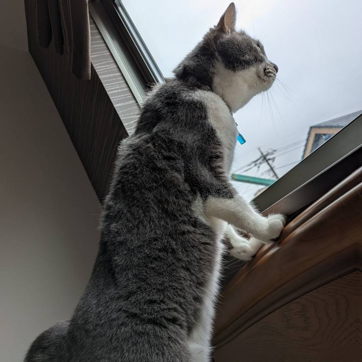 F4f304fc f7f5 43aa 8d12 778a7d9fcb8c 1745372359674