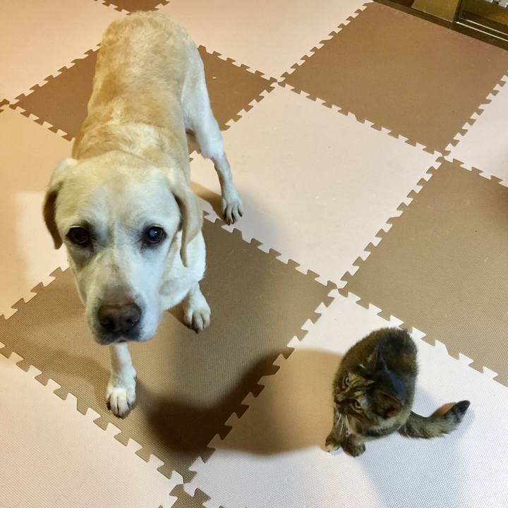 F4f31bd9 fea5 4e40 9dae 249bcb2bd928 1564749437865