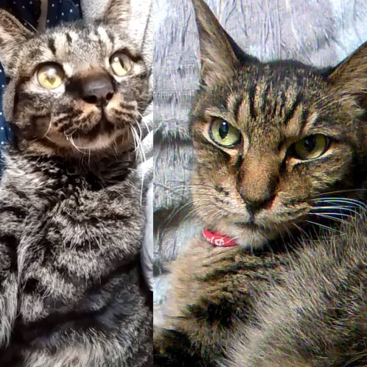 F4f32f30 caa6 4ea5 97d0 997cba98a75e 1617671013678