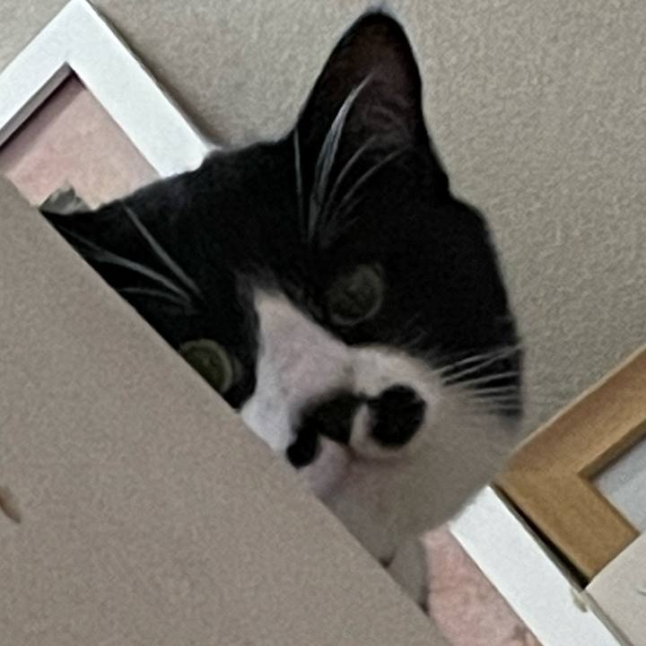 F4f34b5b 5ba0 4df6 a88e 9f547a2725e9 1650499578713