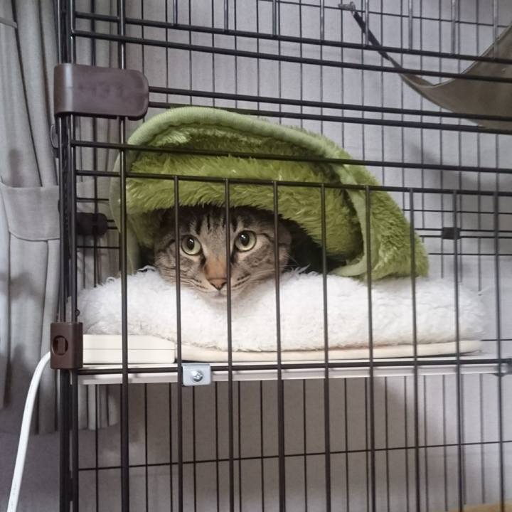 F4f365c2 20cb 452c bfdd 3fc625e9b3c2 1509362225773