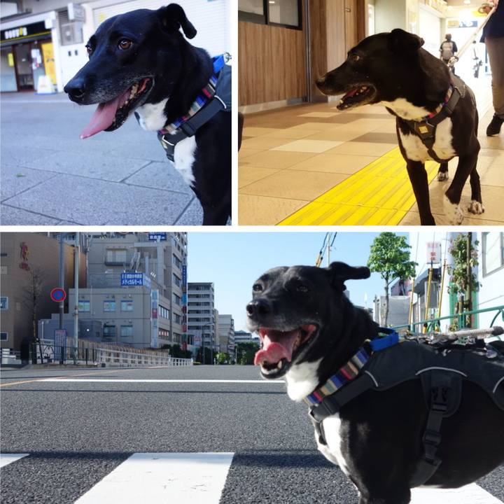 F4f3721a b525 420e 8db8 4f3be40a131e 1653698540968