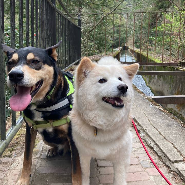 F4f37db2 848f 4859 b183 f979332cc4da 1679460338627