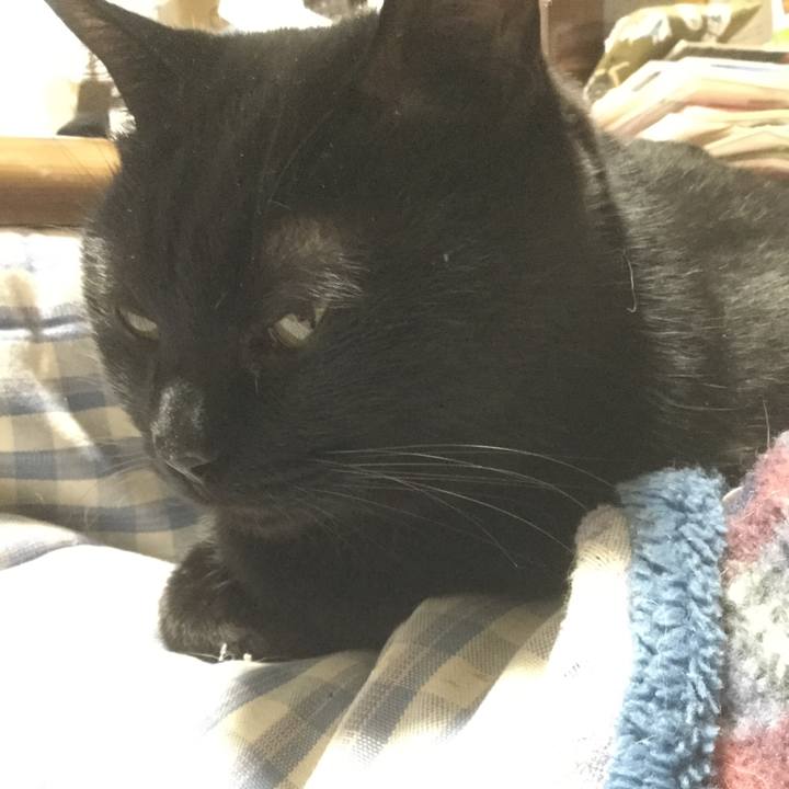 F4f3c03d 6b5d 4442 b527 27398926eee4 1550304512894