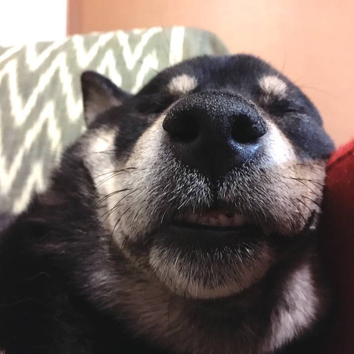 F4f3c244 8838 4747 a2b9 f769e11cbbfb 1553528416024