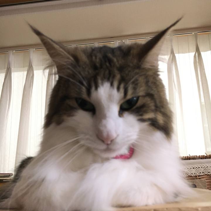 F4f3cd3f b225 47d6 afdd aa61350b9d11 1508456768235