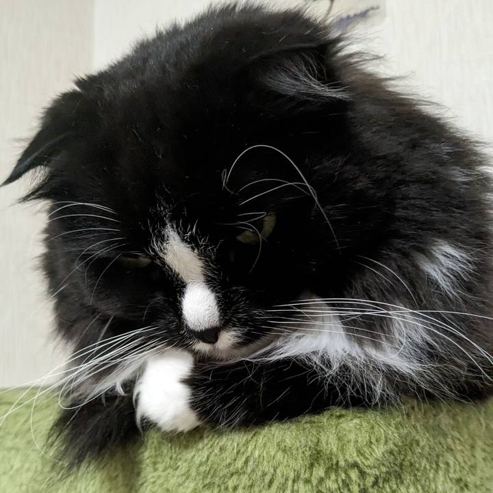 F4f3dd3c 6462 4c89 9a01 c5bee6ec154e 1716345849230