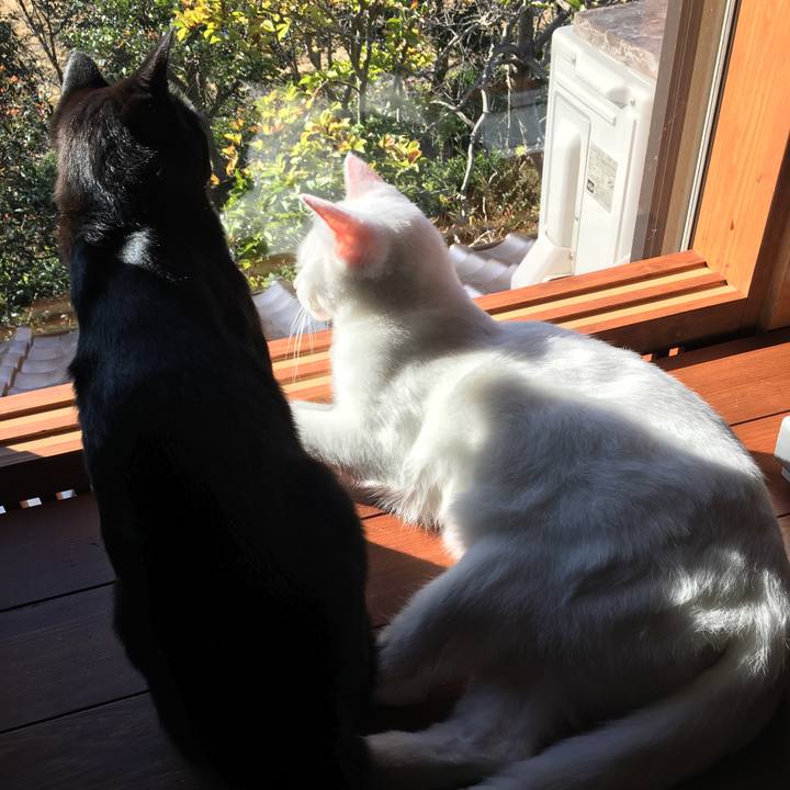 F4f3e78d cb8c 4231 bba7 87e2bd1b780b 1509408689380