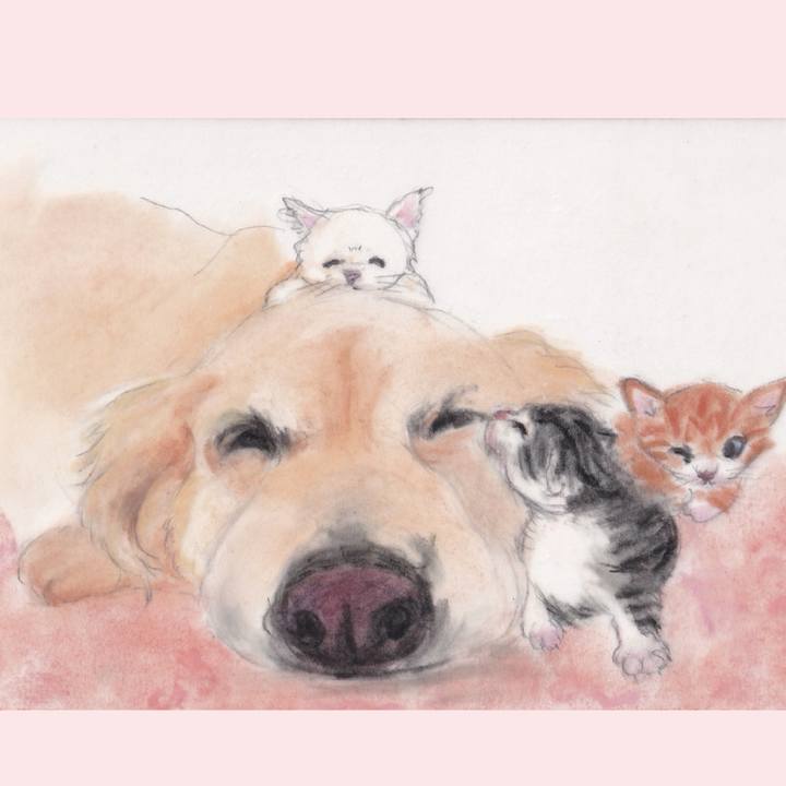 F4f3fb7c 8249 41b6 82be 9459a2b6e7af 1729725261596