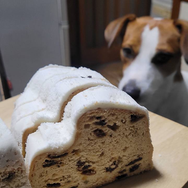 F4f405b2 c854 4b6c bfe8 82711ce88b96 1671924078058