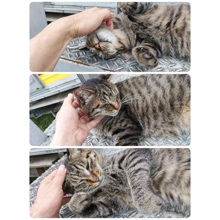 F4f44e4d 5b55 4409 93fe adf63c8b1722 1626137240872