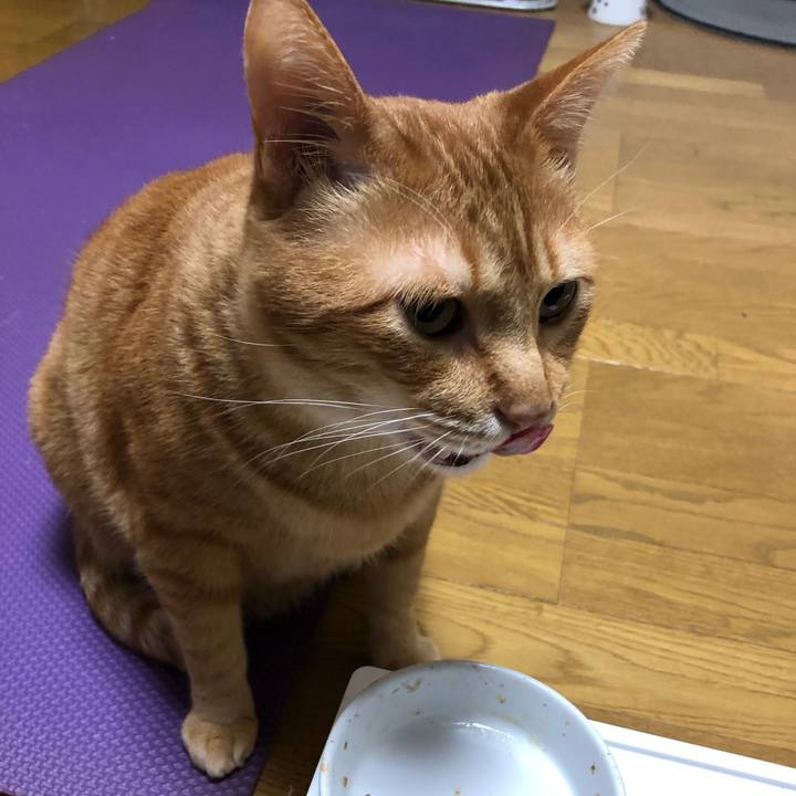 F4f464f1 1939 4d6d 93a6 2cbcad2957f8 1607514493824