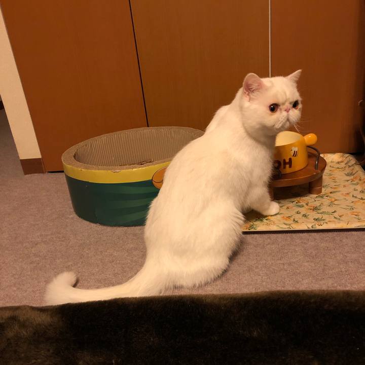 F4f4a7f3 6b59 40cf bf65 02600eb5d451 1586256133056