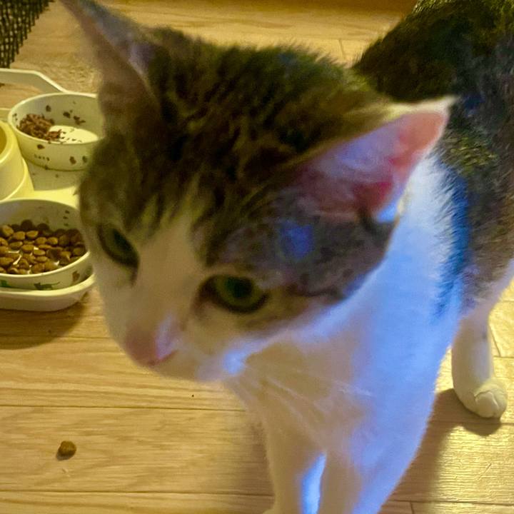 F4f4b13d 89b8 4ae3 be5b f30ab644408e 1627548600266