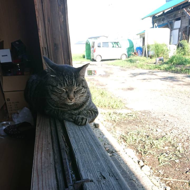 F4f4bcd2 2890 477f 92aa eccbdd251cd8 1661669738520