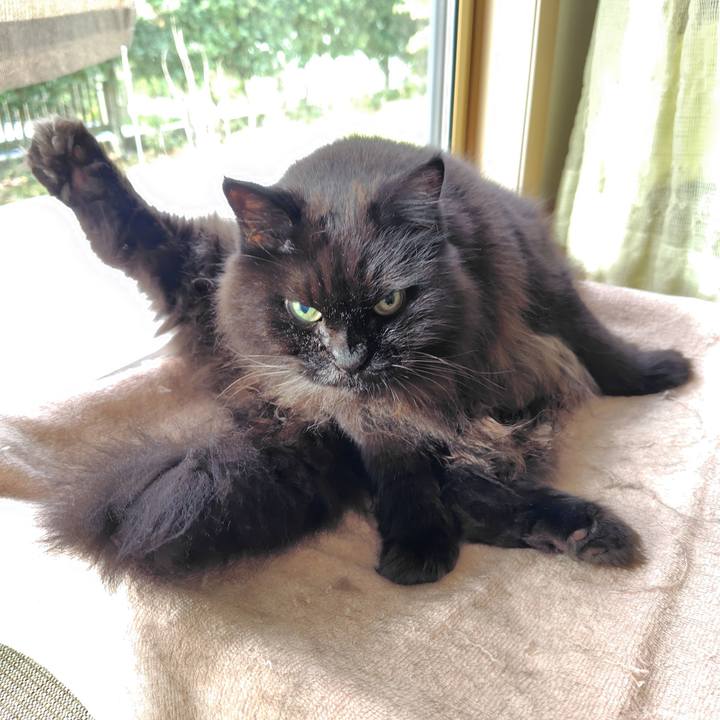 F4f4cef4 31b9 450e 9b22 fb43ea856679 1759822620832