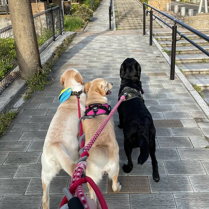 F4f4d8e3 f804 4a70 b0ee b9009719ac46 1649161039919