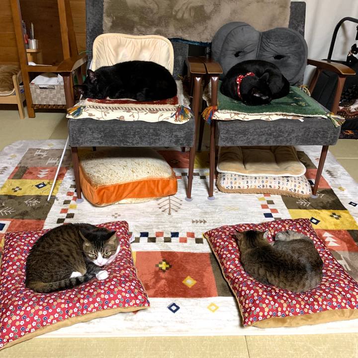 F4f4e4fc 265c 4c10 9355 2ac41b5663d1 1584281312793