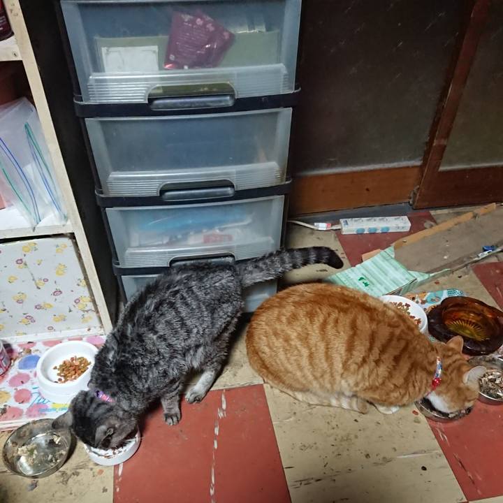 F4f4eafd f3b8 4921 b2c8 8dad308826fd 1579808970786