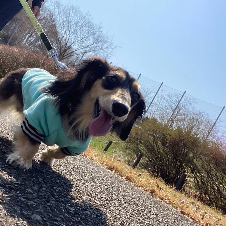 F4f4feb1 0bff 409c 9138 9e0b75064df2 1742778625437