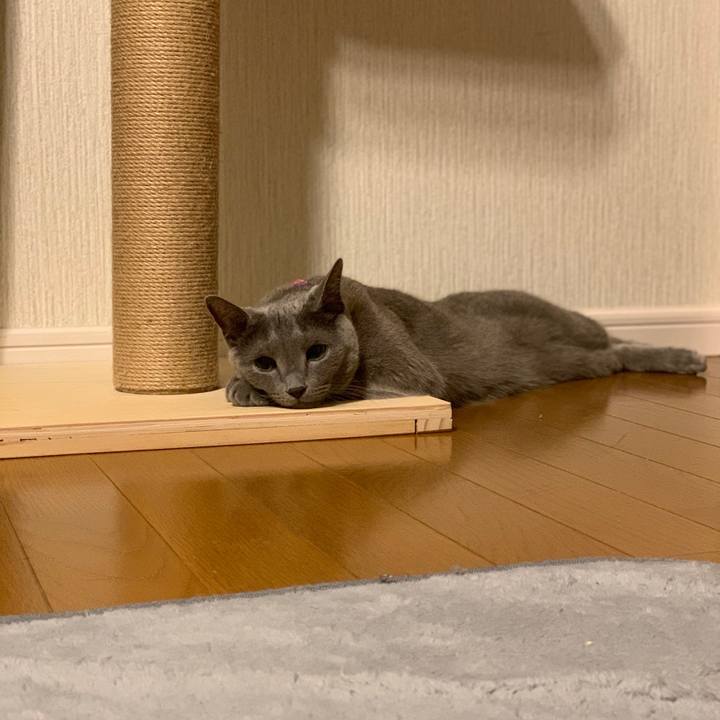 F4f510fb 4215 48c2 aac1 600258222a09 1658319295747