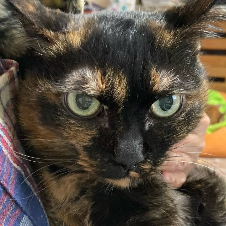 F4f519af f0b8 45f1 935d 104d1a5878bc 1767160966423